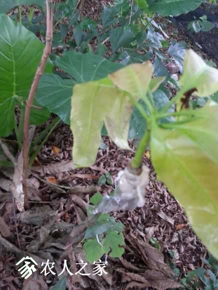 20170713_180854.jpg