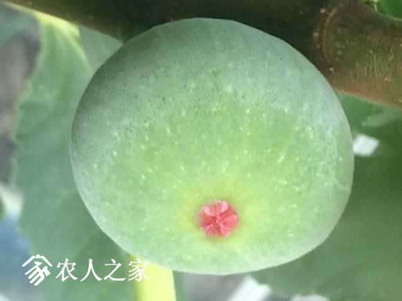 image.jpg