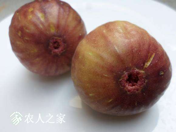 ľ