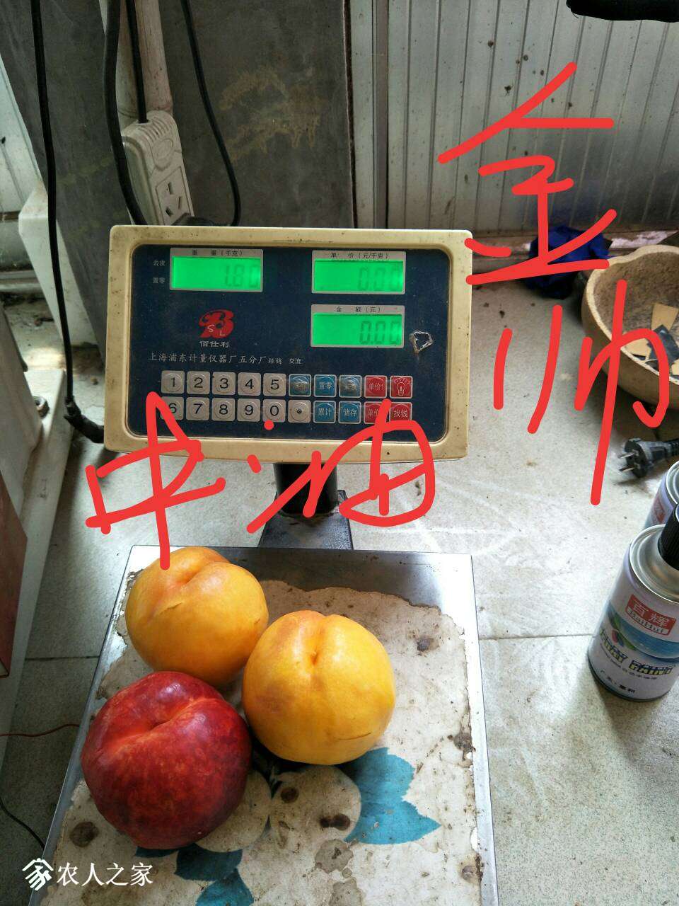050012cbt9rbgdrel7jlzr.jpg
