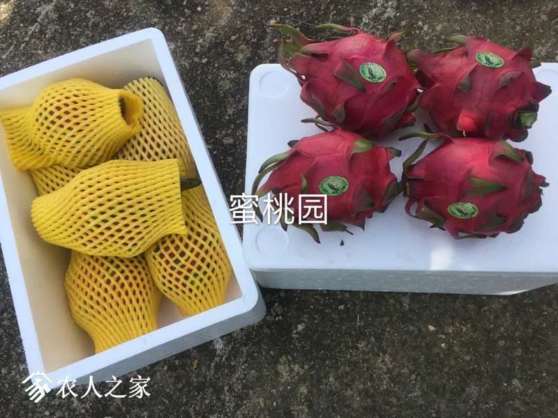 124552mdkl1dxhx0qllqhl.jpg