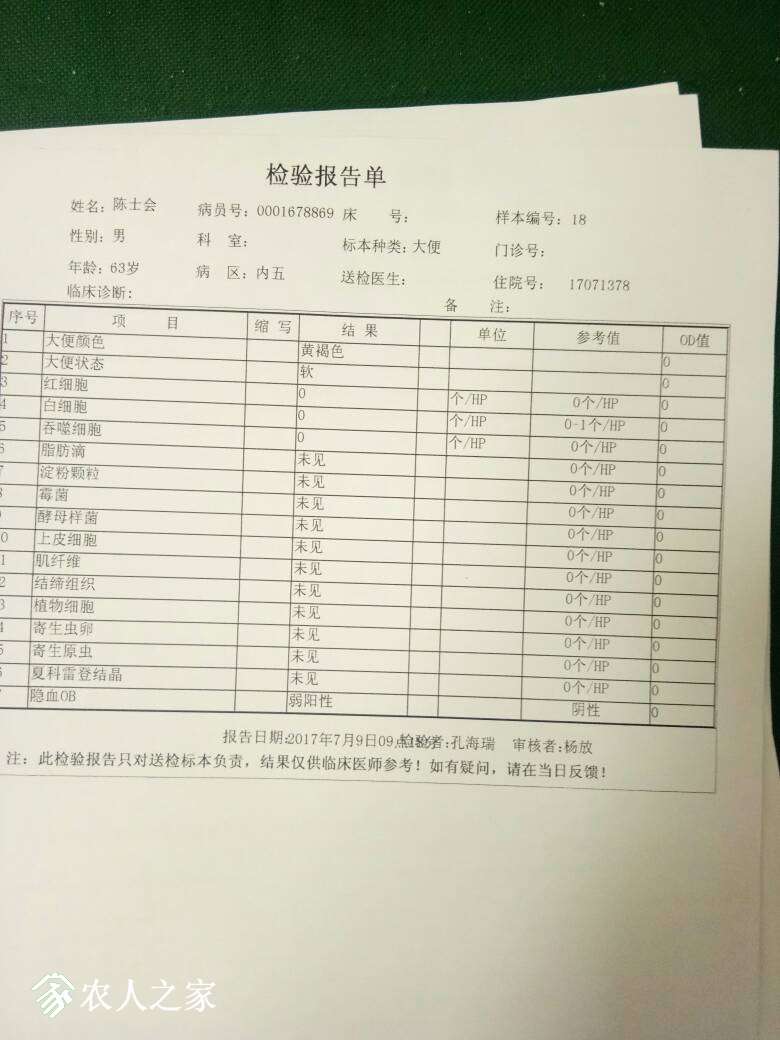 150455r95y0voro3g82rvj.jpg