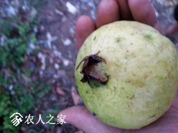 20170715_190421.jpg
