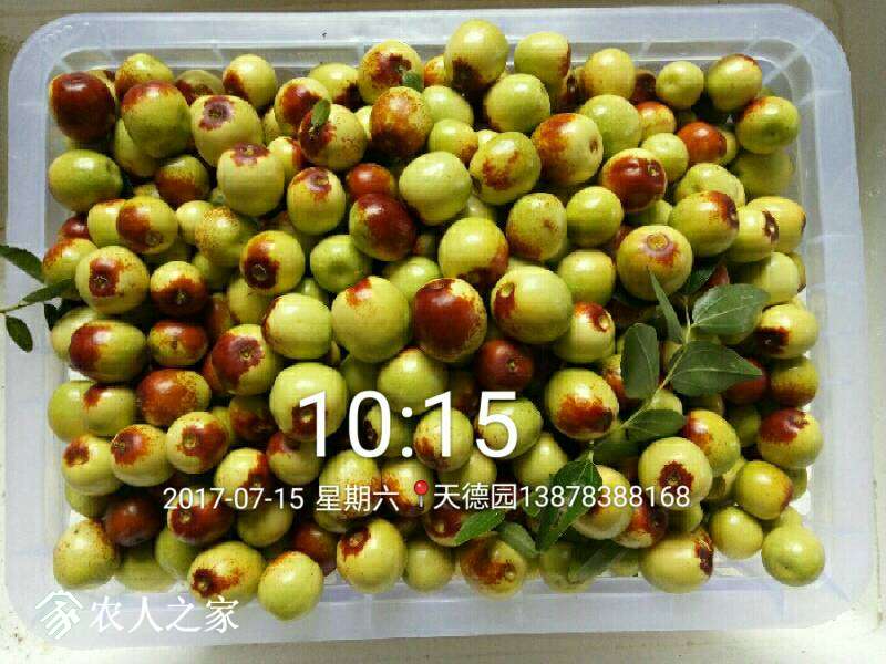 234648bhmj6bz6xooou6oo.jpg