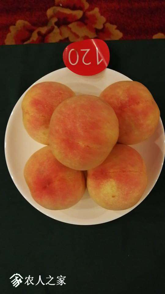 073036o93kqsrtwita6bkm.jpg