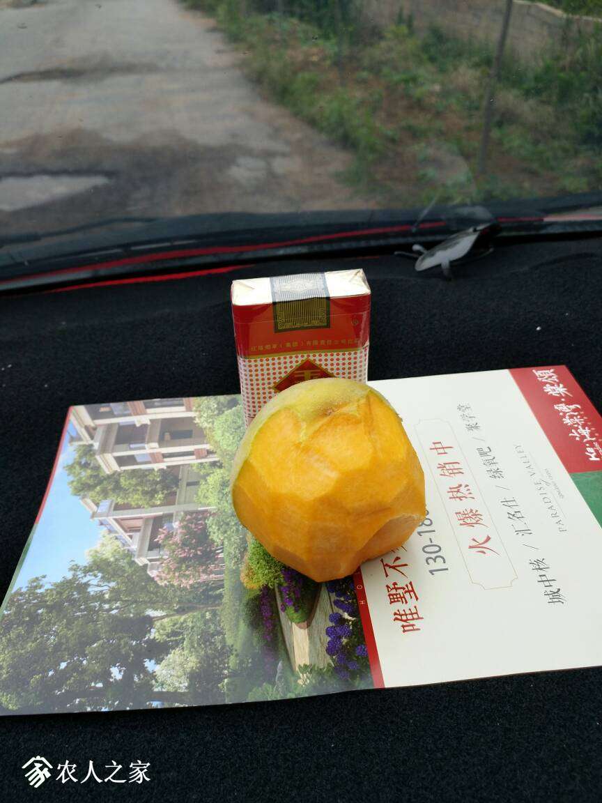 161411tnkqoojnuo7zhkkh.jpg