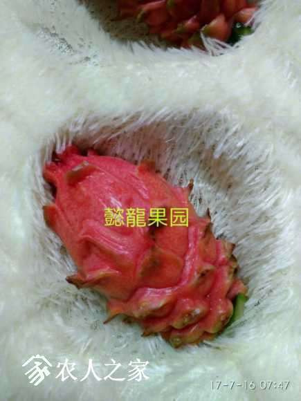 mmexport1500162787527.jpg