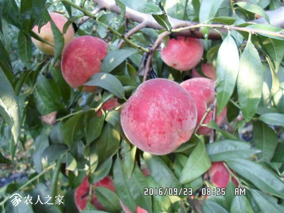 060754zcmtocomhmscxvqv.jpg