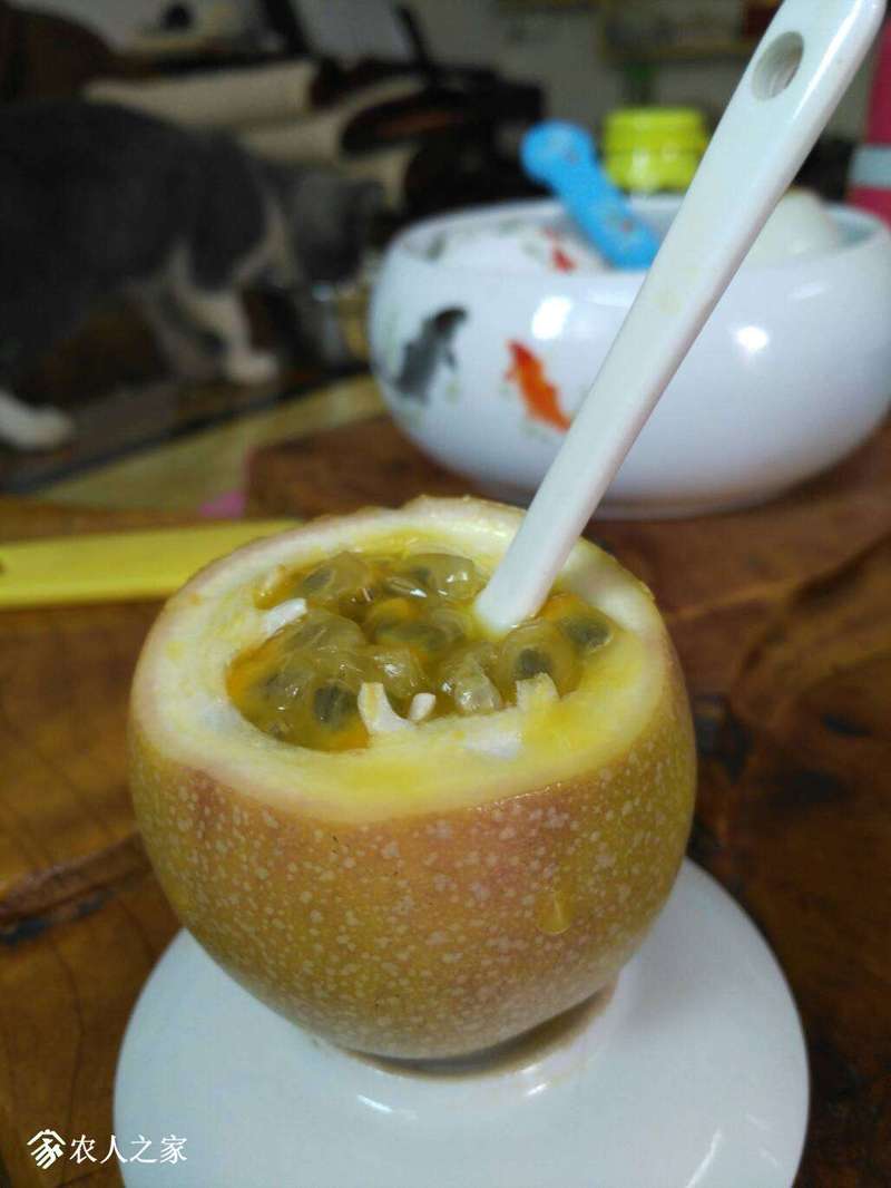 121135dcbcwe5cdawwluwl.jpg