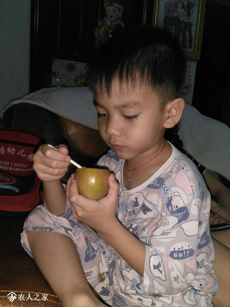 121402h9hod55bmy6smnou.jpg