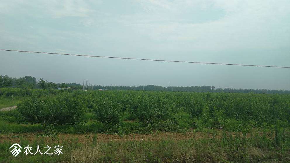 165238qk24sn280s2qytrb.jpg