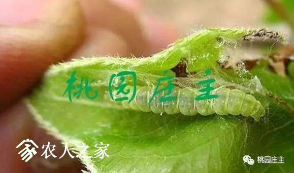 20170717_171859_022.jpg