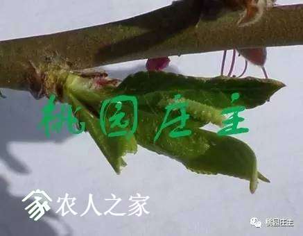 20170717_171859_025.jpg