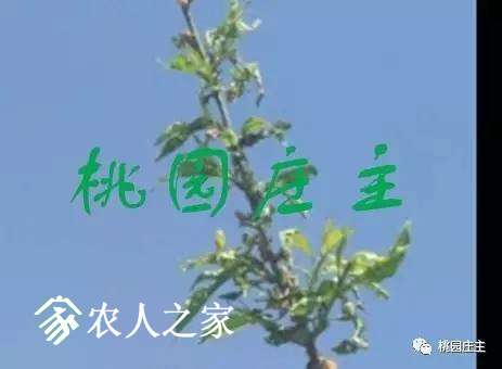 20170717_171859_026.jpg