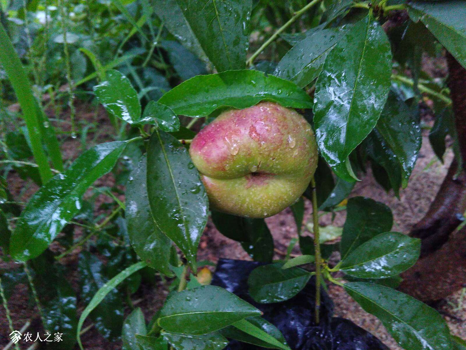 090505d9eiwbiwewxz6jqo.jpg
