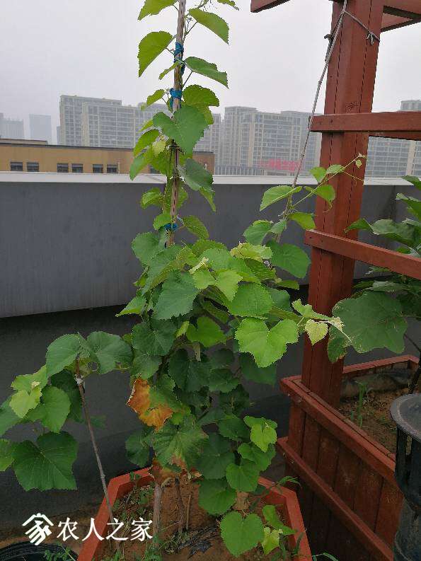 122155joxfwfp7fp7uhfv7.jpg