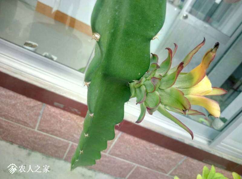 130809s9g2991tp21i0g6i.jpg