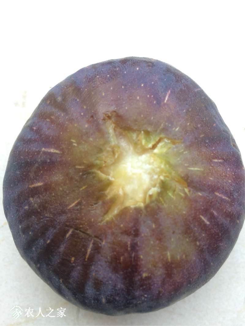 143253bwrjcpcvjhmnwnoj.jpg
