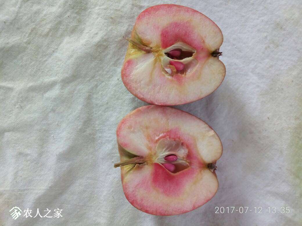 152700vv0v4vsvvv0u4vzv.jpg