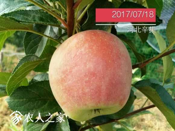 IMG_20170718_174825.jpg