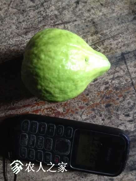 image.jpeg