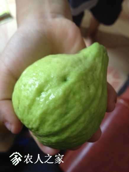 image.jpeg