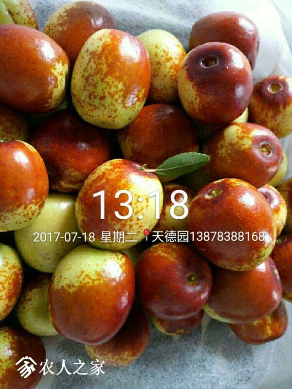 234228bessu2jcu32kn22w.jpg
