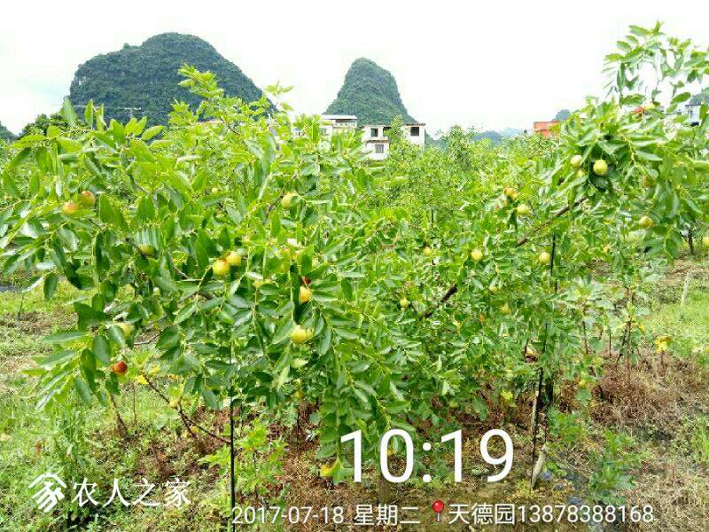 234229acy0j21mb067nh05.jpg