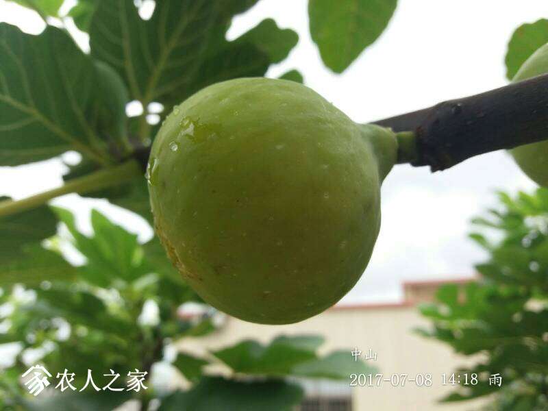 060357oashhpyi3lked6qf.jpg