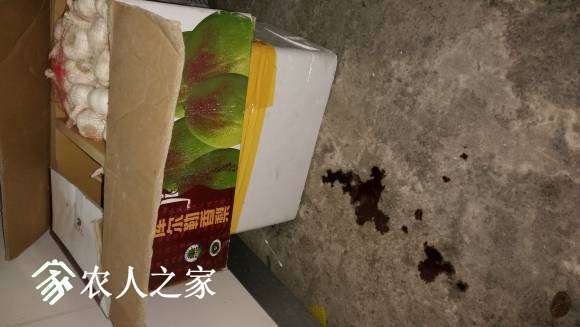20170719_131705.jpg