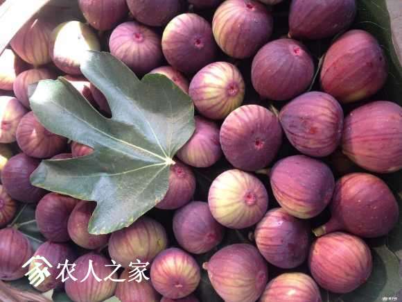 wKgAKVbO8rCIaIKuAAAAPD9Cp-wAAABMQP_m0QAAABU424.jpg