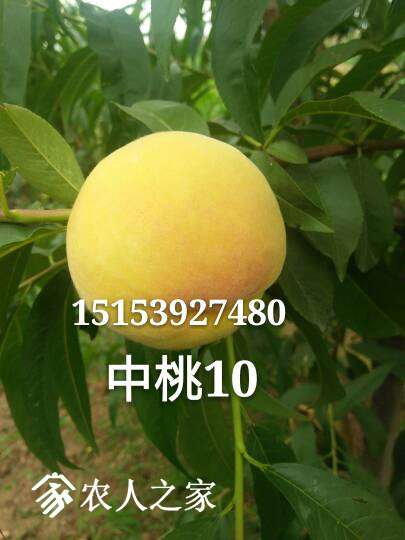224034r7gg797ffvfoud8z.jpg