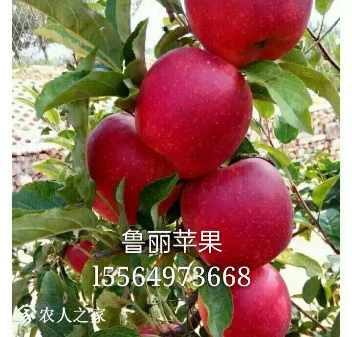 085124y570y8yhhb58yg8q.jpg