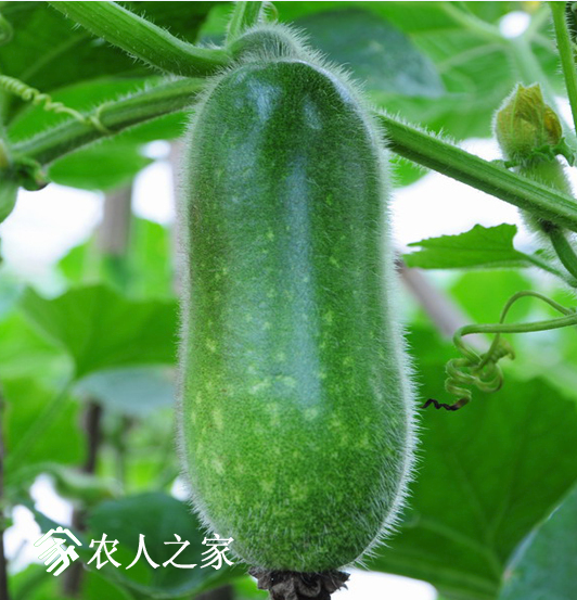 QQͼƬ20170720094356.png
