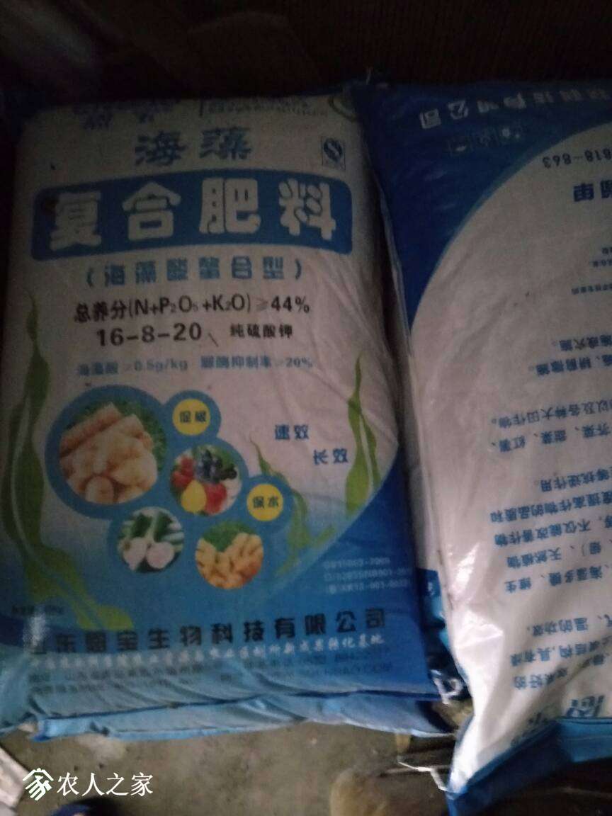 131328k82t0ffcctlvmmc0.jpg
