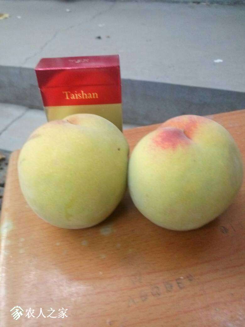 032405vnrxfrfzrfrwokbf.jpg