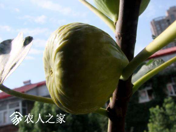 DSCF6950.JPG