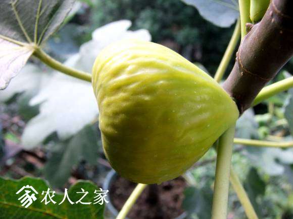 DSCF6953.JPG