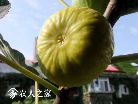 DSCF6943.JPG