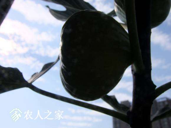 DSCF6945.JPG