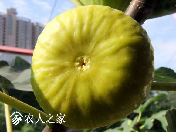 DSCF6962.JPG