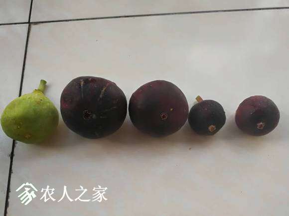΢��ͼƬ_20170722004946.jpg