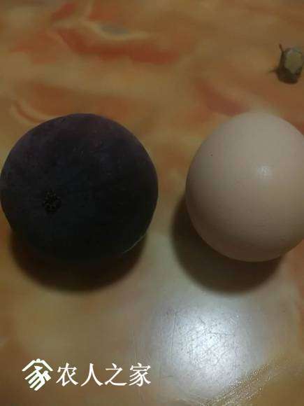 ΢��ͼƬ_20170722004949.jpg