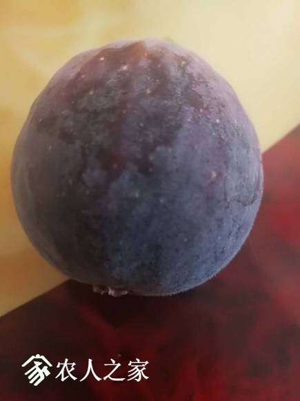 ΢��ͼƬ_20170722005257.jpg