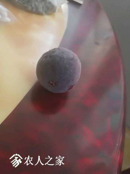 ΢��ͼƬ_20170722005251.jpg