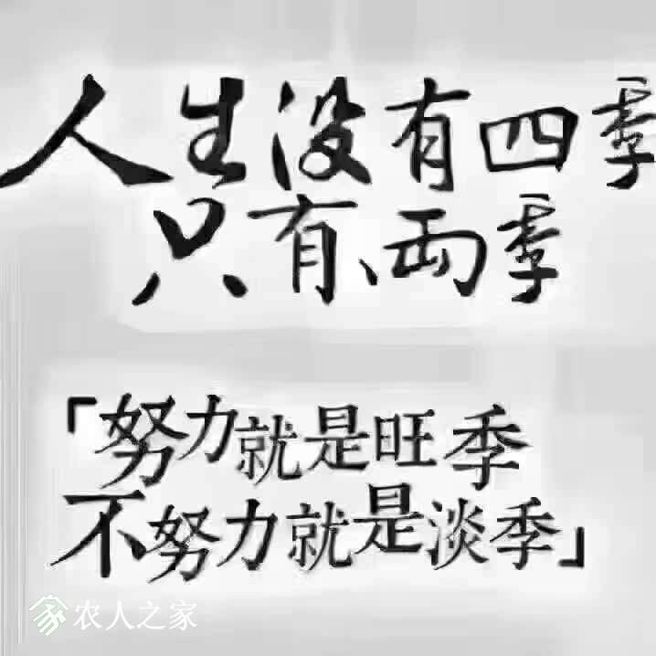 164240hbgzzdwmyi6yt77d.jpg