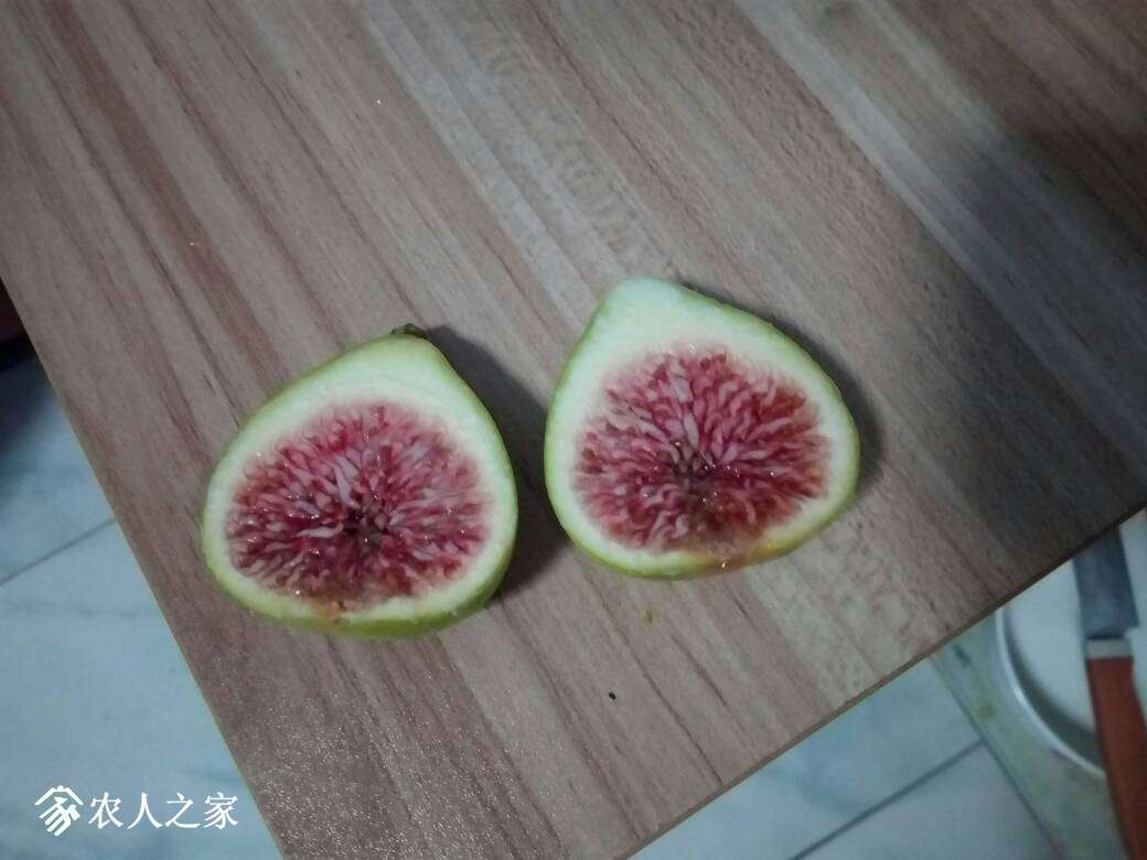 182546b2rhnkuu9pp7innr.jpg