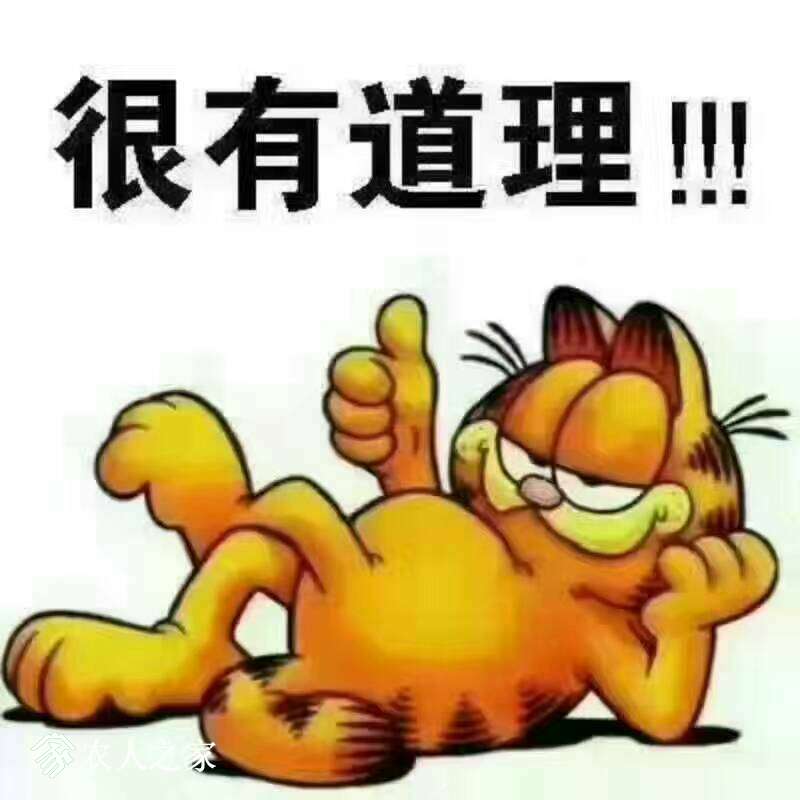 183834oeyyycwh5mhh50w5.jpg