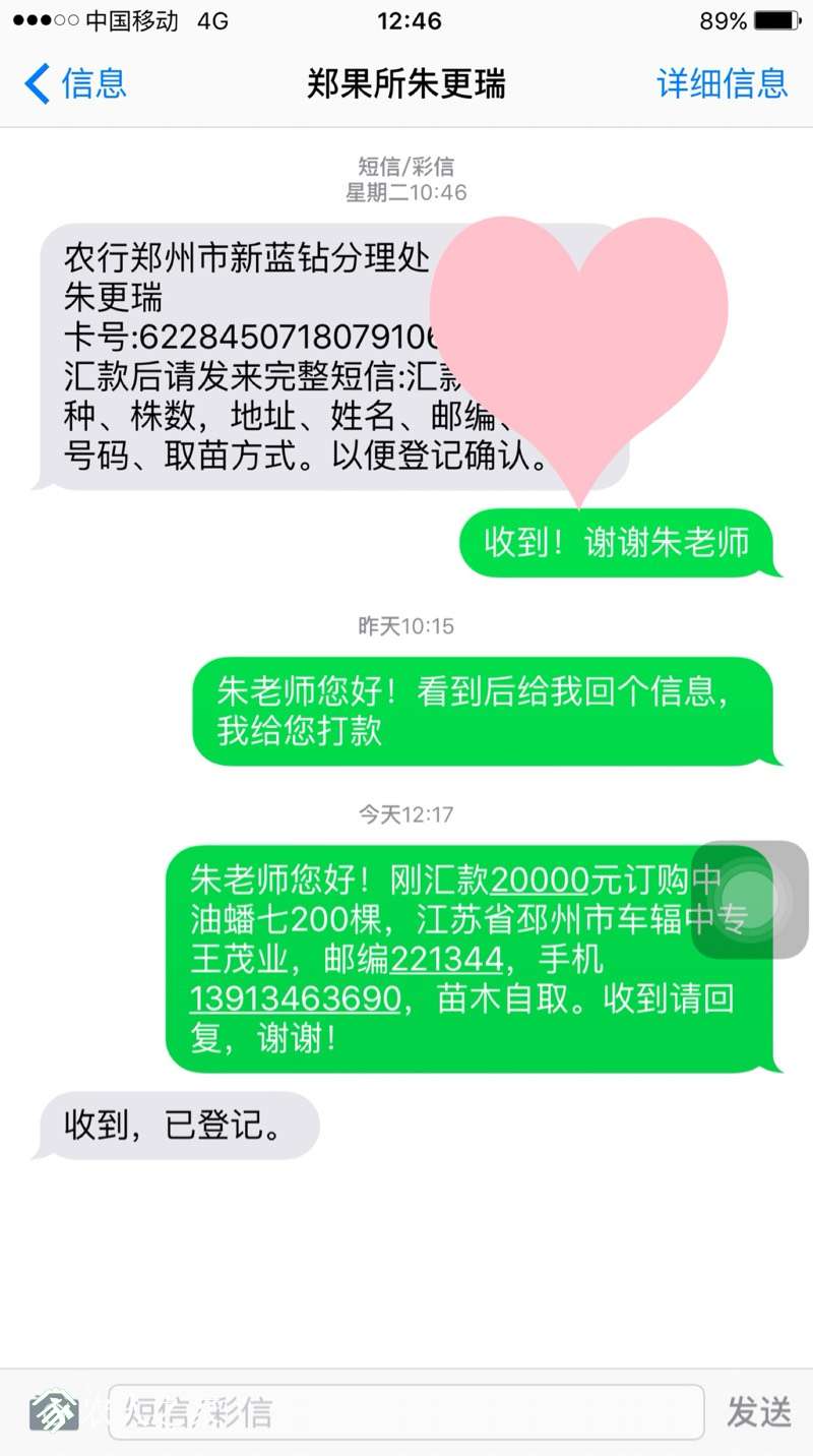 092420qndwpdmi9ixiiwin.jpg