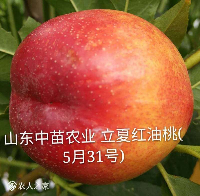 143215kih9333wv6663voi.jpg